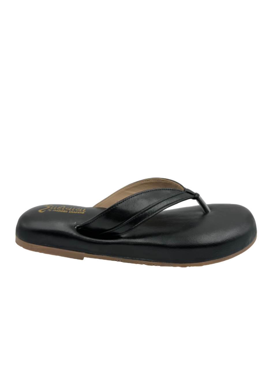 Ortho Evergreen Gaadiwala GD 10