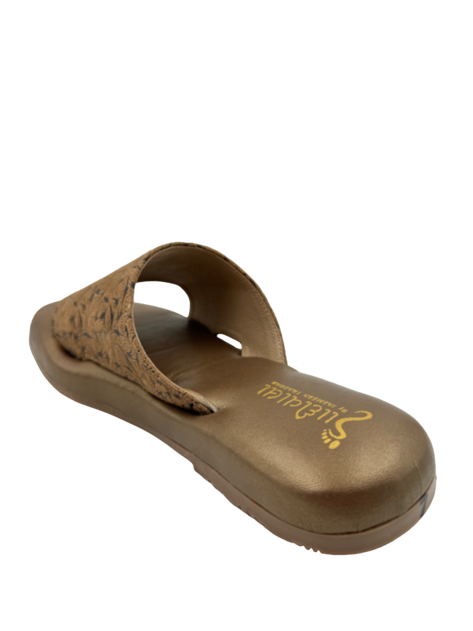 Ortho Evergreen Gaadiwala GD01