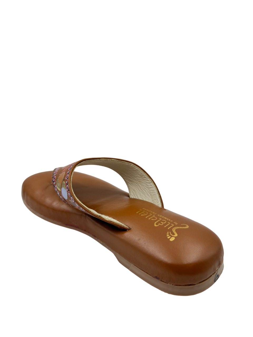 Ortho Evergreen Gaadiwala