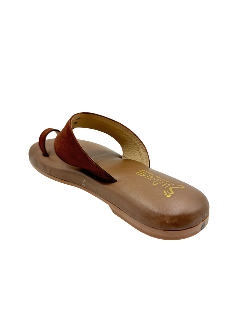 Ortho Evergreen Gaadiwala GD 18