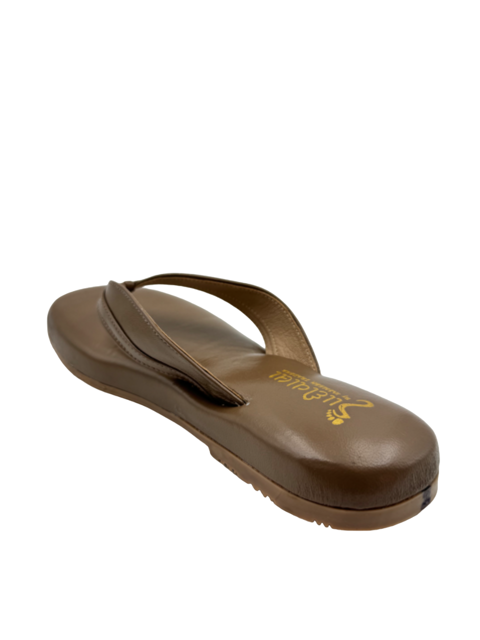 Ortho Evergreen Gaadiwala GD 10