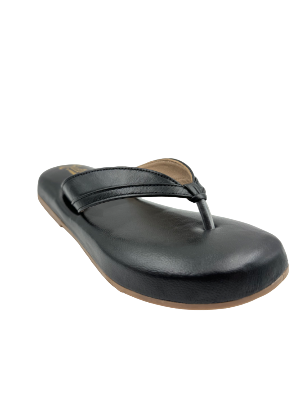 Ortho Evergreen Gaadiwala GD 10