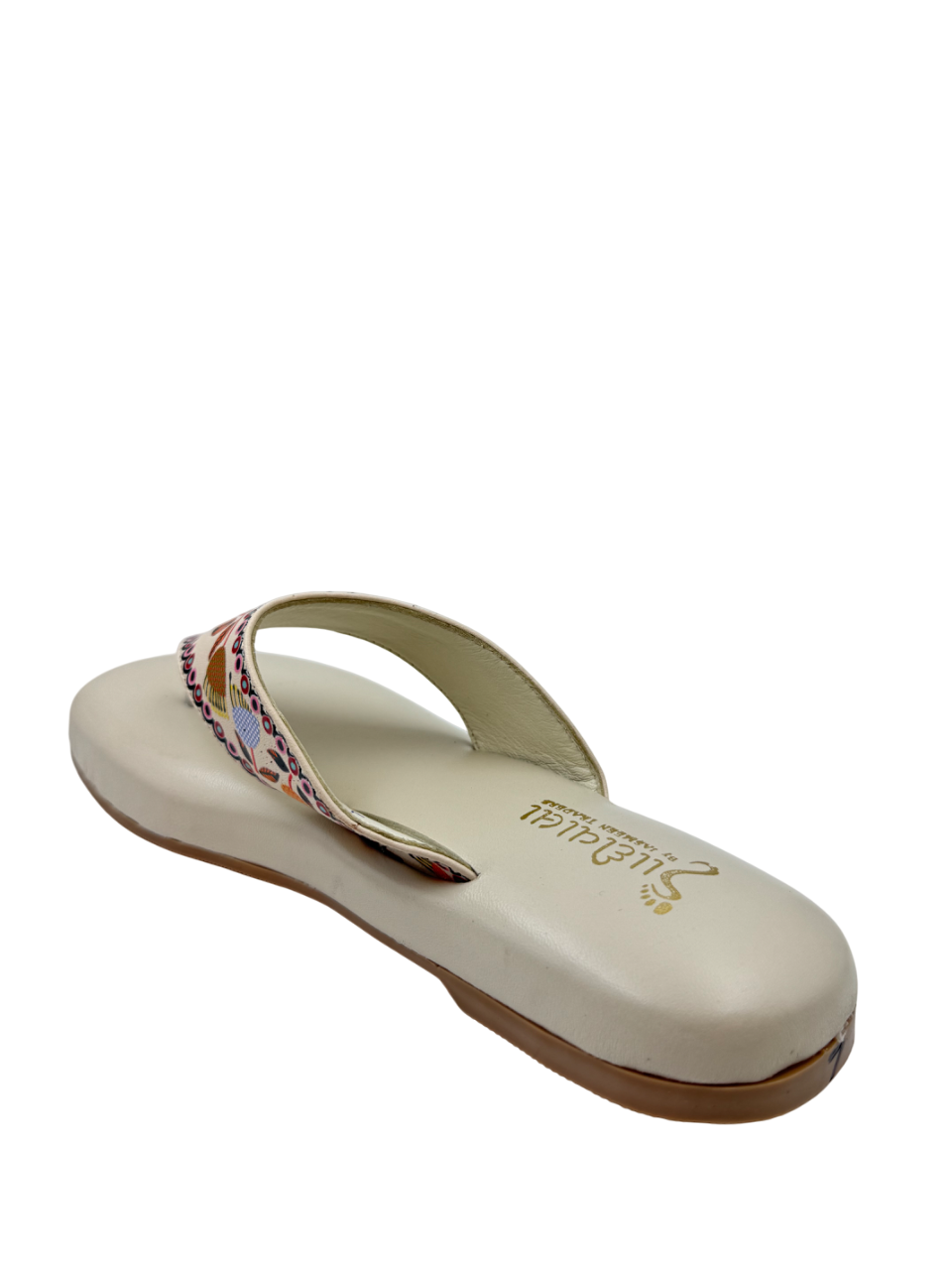 Ortho Evergreen Gaadiwala
