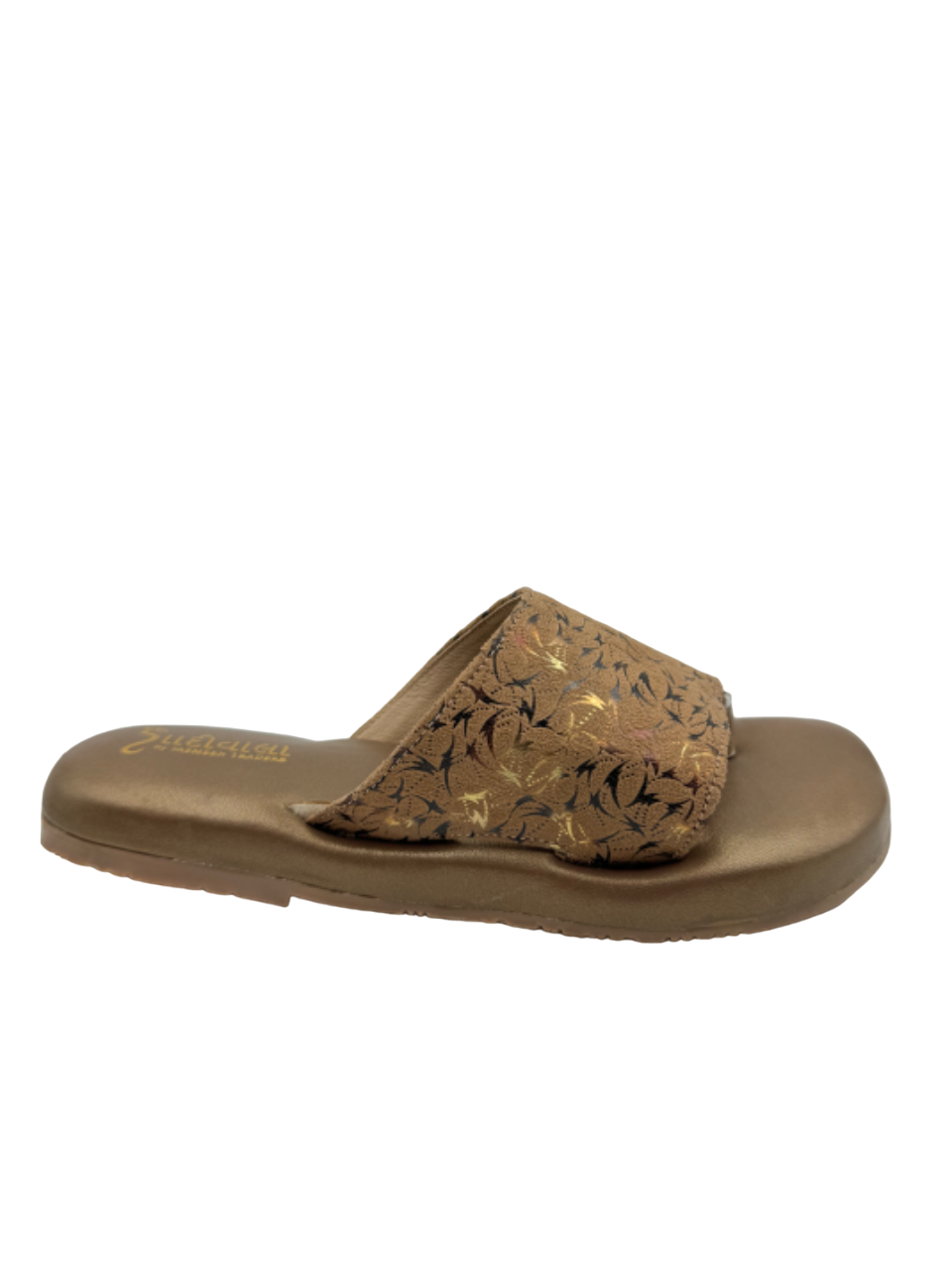 Ortho Evergreen Gaadiwala GD01
