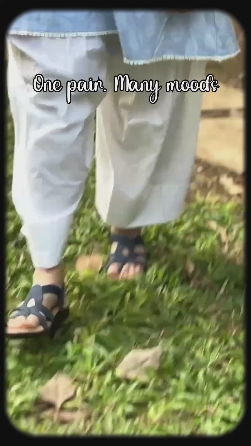 Ortho Soft Doctor
