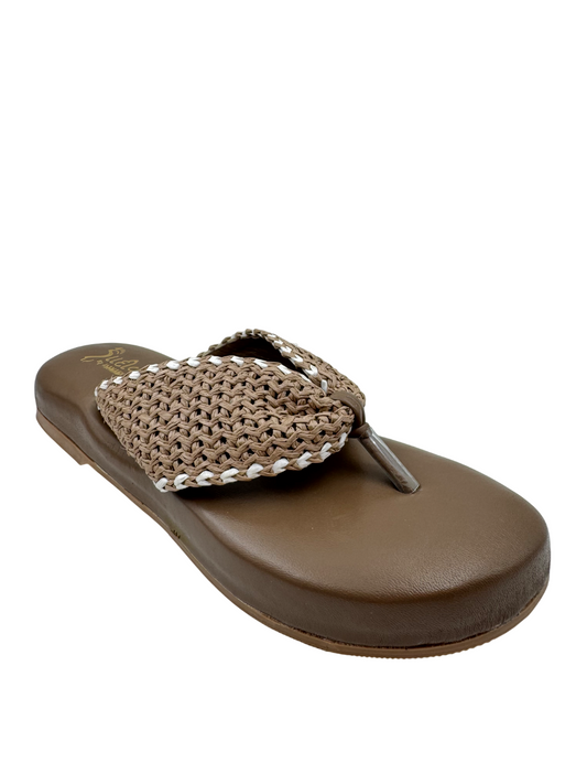 Ortho Evergreen Gaadiwala