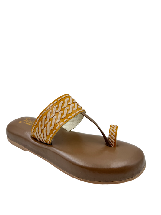 Ortho Evergreen Gaadiwala